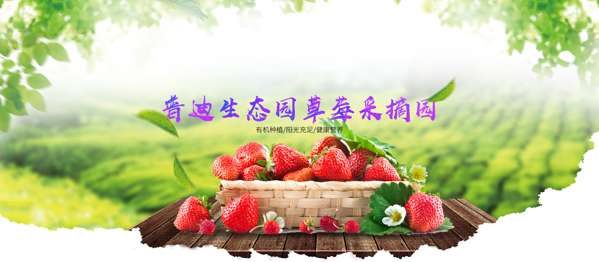 重庆草莓